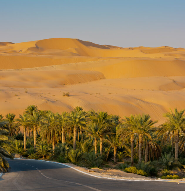 beautiful desert escapes